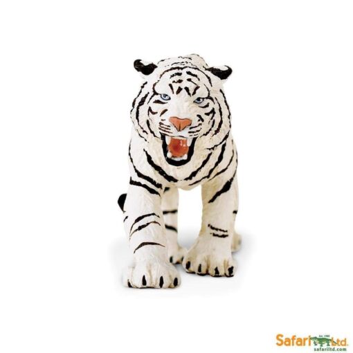 SAF273129 2 white bengal tiger