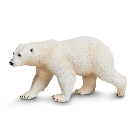 SAF273329 1 polar bear