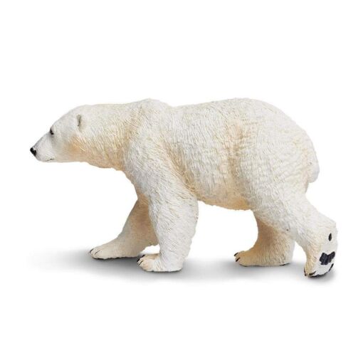 SAF273329 2 polar bear