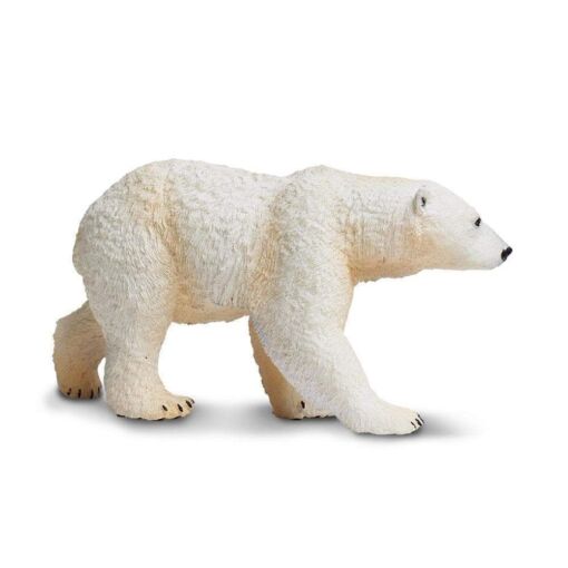 SAF273329 3 polar bear