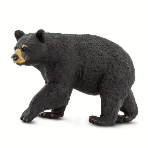 SAF273529 1 black bear