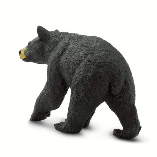 SAF273529 3 black bear
