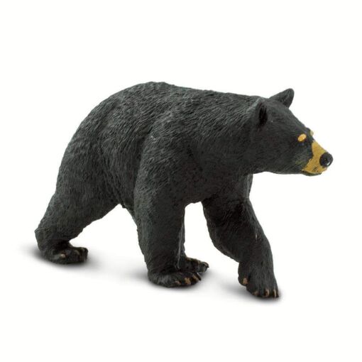 SAF273529 4 black bear