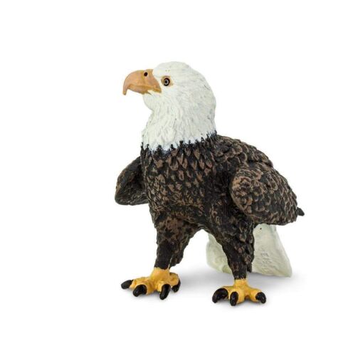 SAF291129 4 bald eagle