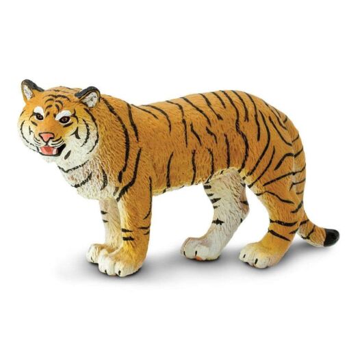 SAF294529 1 bengal tigress