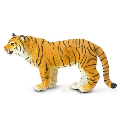 SAF294529 2 bengal tigress