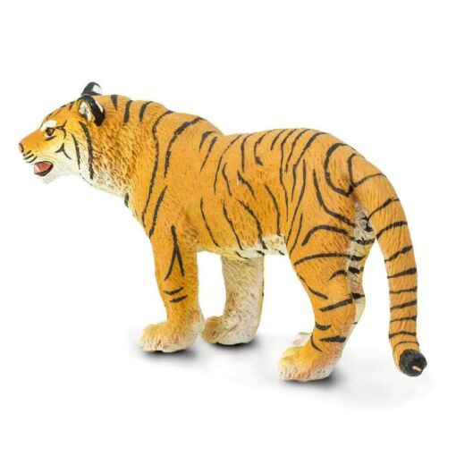 SAF294529 3 bengal tigress