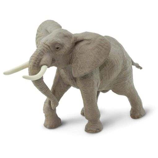 SAF295629 3 african bull elephant