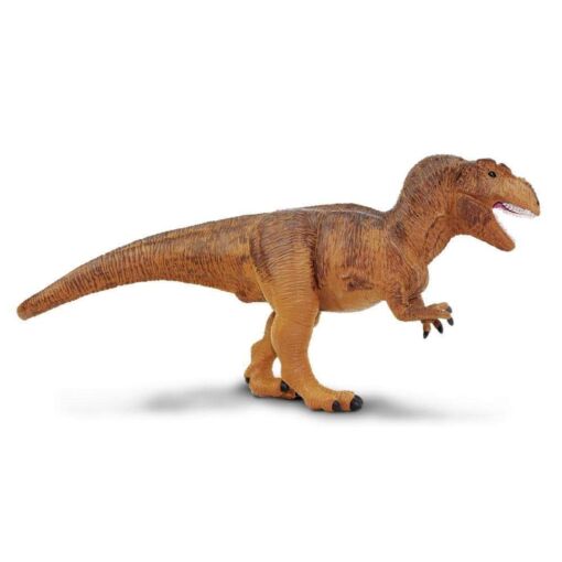 SAF30000 3 tyrannosaurus rex