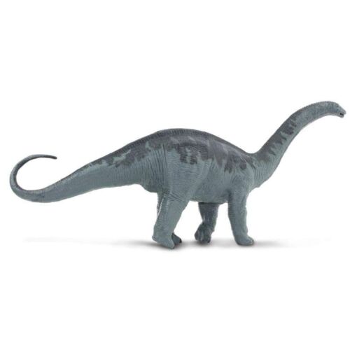 SAF30004 2 apatosaurus