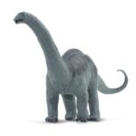 SAF30004 4 apatosaurus