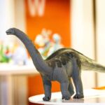 SAF30004 5 apatosaurus