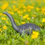 SAF30004 6 apatosaurus
