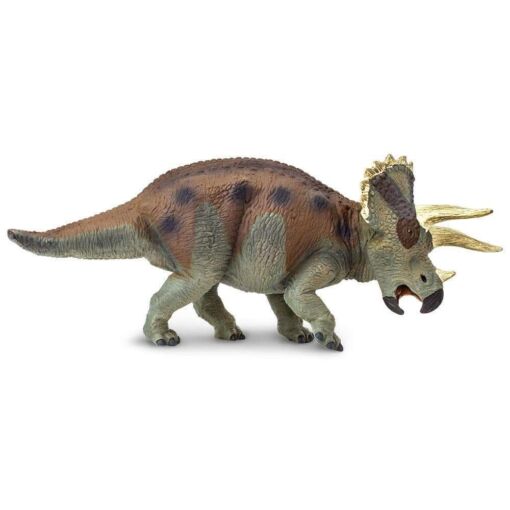 SAF30005 1 triceratops