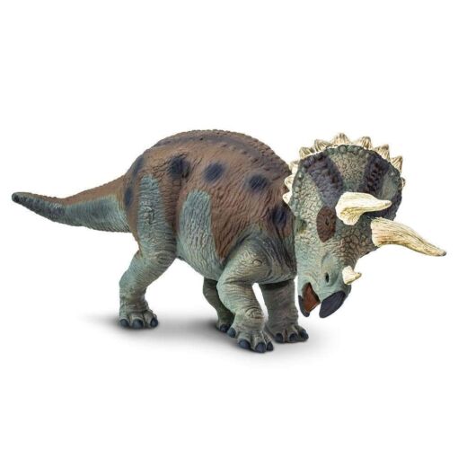 SAF30005 3 triceratops