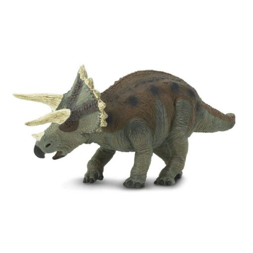 SAF30005 4 triceratops