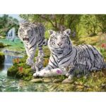 RAV14793 2 lefkes tigris