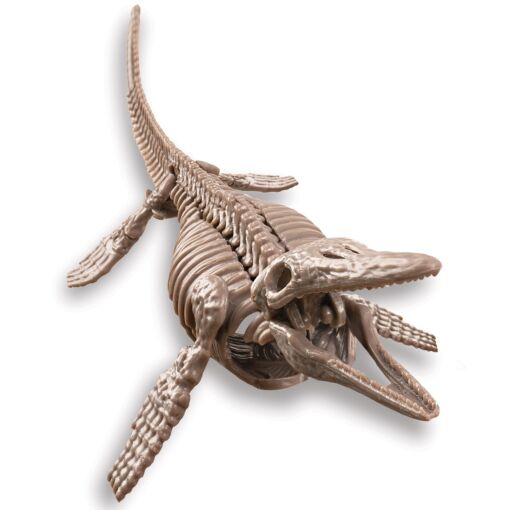 Ανασκαφή Σκελετού Δεινοσαύρου – Μοσάσαυρος