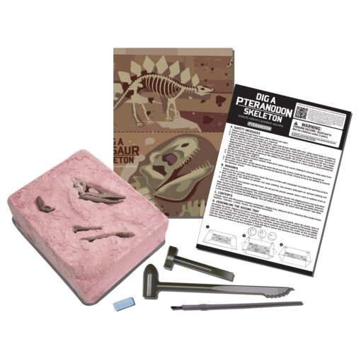 Ανασκαφή Σκελετού Δεινοσαύρου – Πτερανόδοντας
