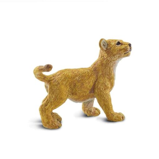 Lion Cub – Νεαρό Λιοντάρι