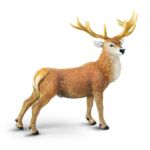Red Deer Buck – Κόκκινο Ελάφι