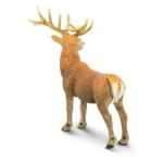 Red Deer Buck – Κόκκινο Ελάφι