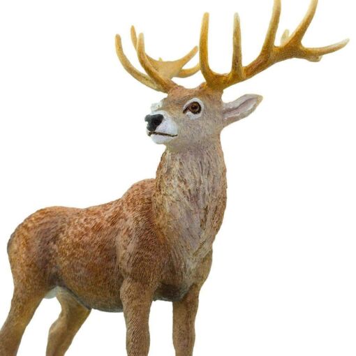 Red Deer Buck – Κόκκινο Ελάφι