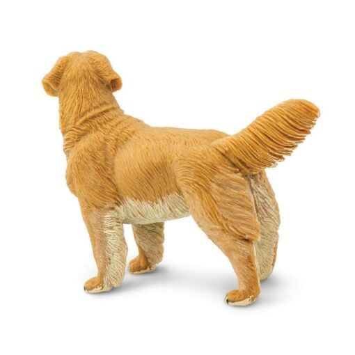Golden Retriever – Σκύλος Ράτσας Golden Retriever