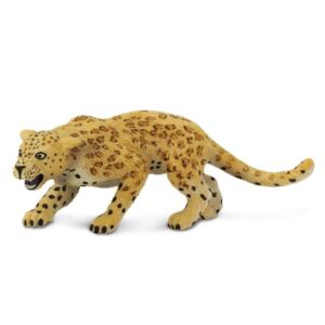 Leopard – Λεοπάρδαλη