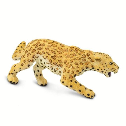 Leopard – Λεοπάρδαλη