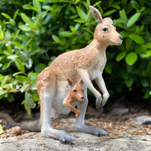 Kangaroo with Joey – Καγκουρό με μωρό