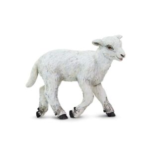 Lamb – Αρνάκι