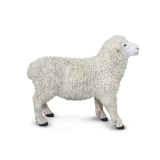 Sheep – Πρόβατο