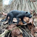 Black Jaguar – Μαύρη Τζάγκουαρ