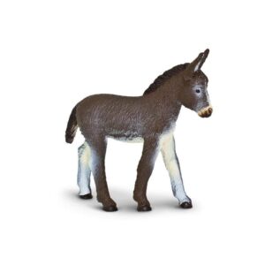 Donkey Foal – Πουλάρι γαϊδουριού
