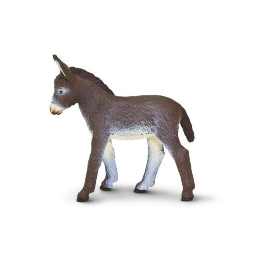 Donkey Foal – Πουλάρι γαϊδουριού