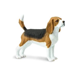 Beagle – Σκύλος ράτσας Λαγωνικό
