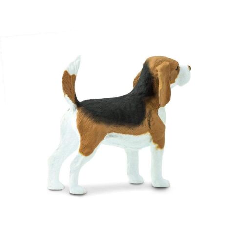 Beagle – Σκύλος ράτσας Λαγωνικό