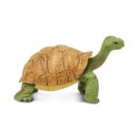 Giant Tortoise – Γιγαντιαία χελώνα