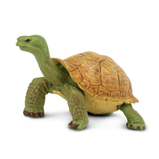 Giant Tortoise – Γιγαντιαία χελώνα