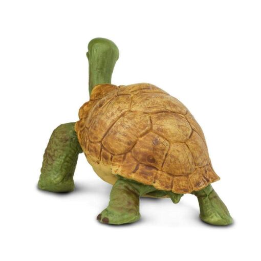 Giant Tortoise – Γιγαντιαία χελώνα
