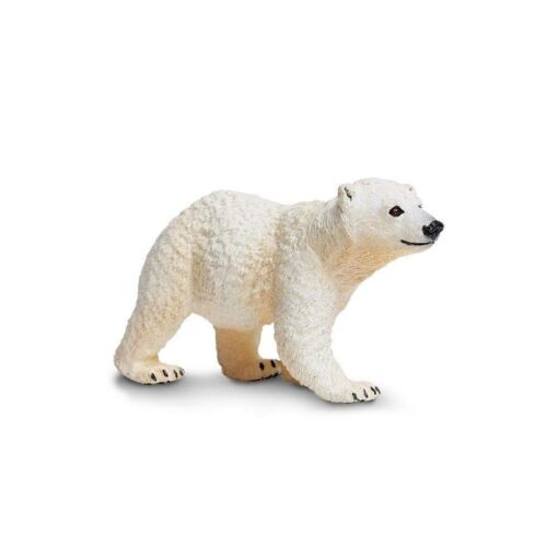 Polar Bear Cub – Πολική αρκούδα μωρό