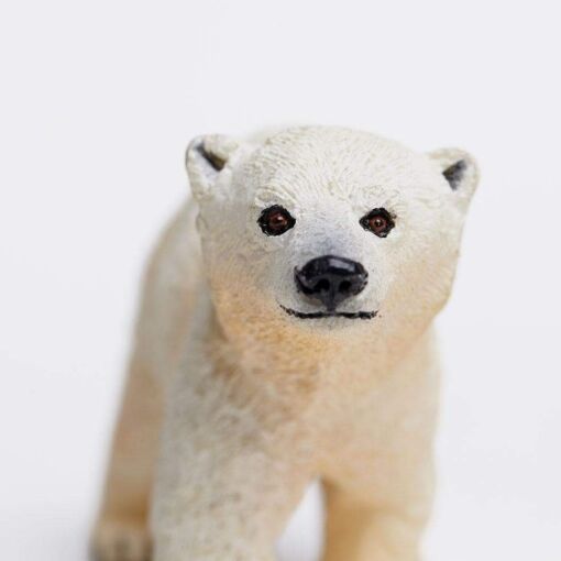Polar Bear Cub – Πολική αρκούδα μωρό