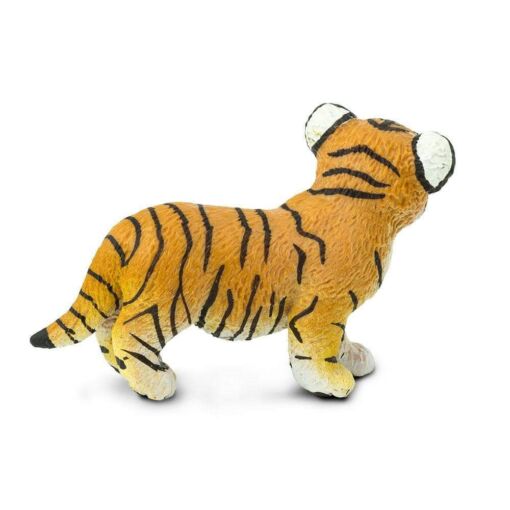 Bengal Tiger Cub – Μωρό Τίγρης της Βεγγάλης