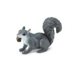 Gray Squirrel – Γκρίζος Σκίουρος