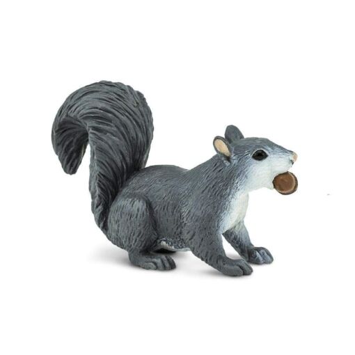 Gray Squirrel – Γκρίζος Σκίουρος