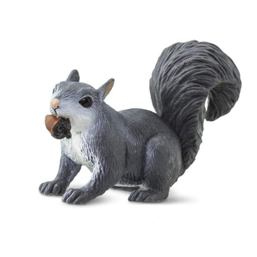 Gray Squirrel – Γκρίζος Σκίουρος