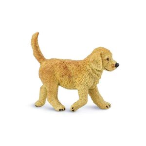 Golden Retriever Puppy – Κουτάβι Ράτσας Golden Retriever