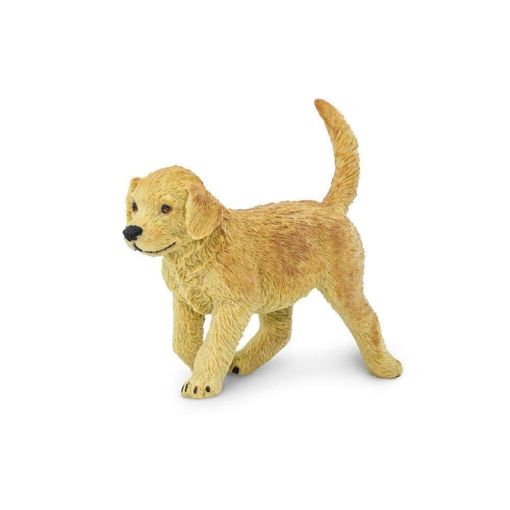 Golden Retriever Puppy – Κουτάβι Ράτσας Golden Retriever