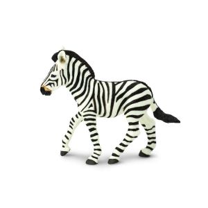 Zebra Foal – Ζέβρα Πουλάρι